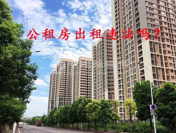 公租房出租違法嗎